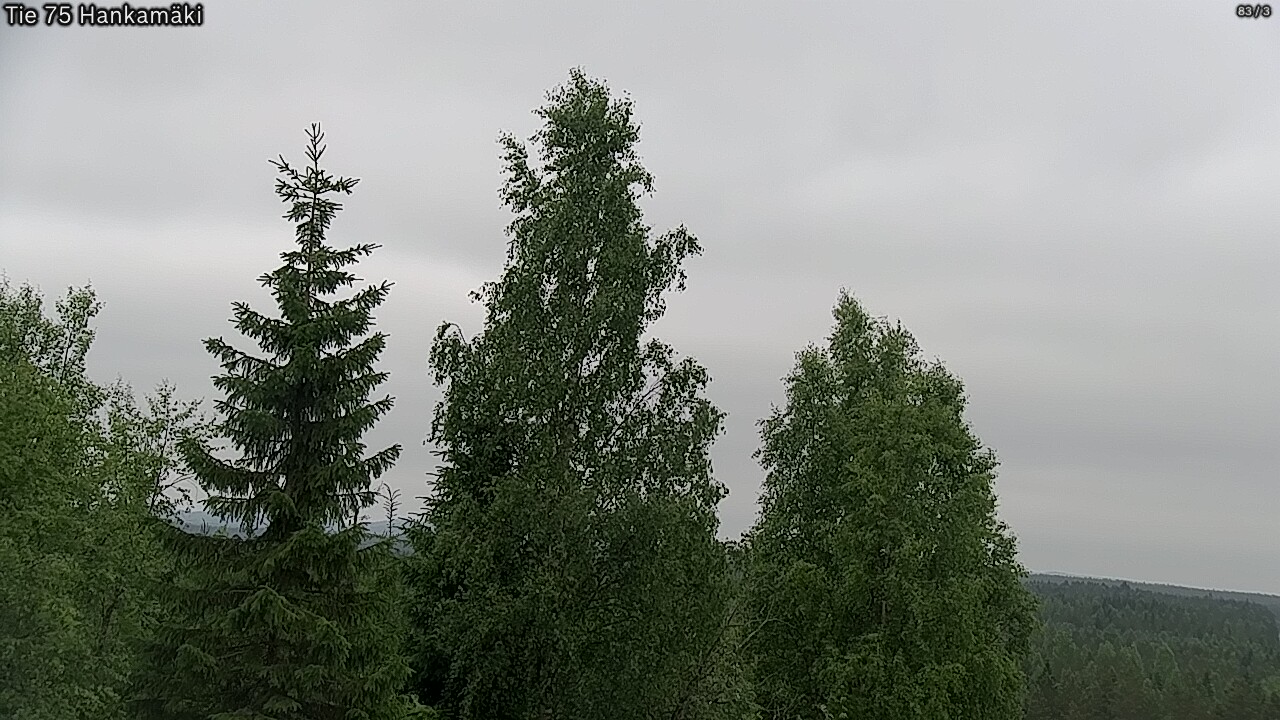 Kelikamerat Kuva Tie 75 Rautavaara, Hankamäki, Rautavaara, Pohjois-Savo