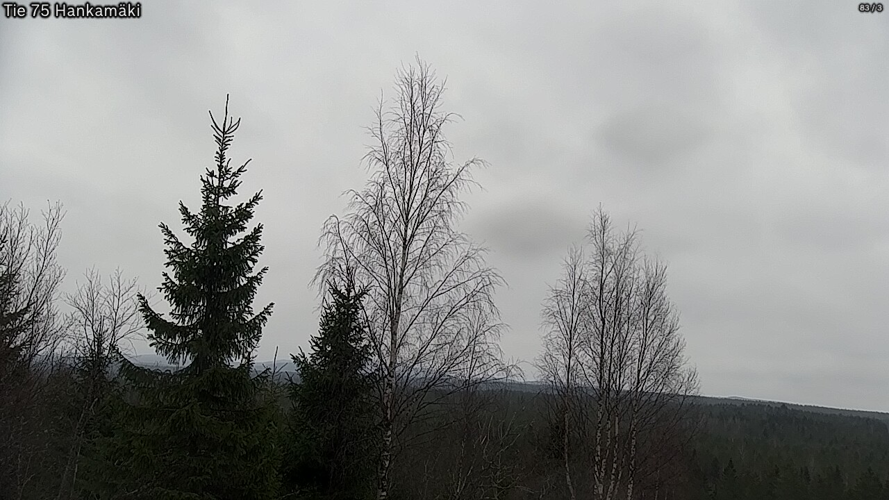 Weather Camera Image Road 75 Rautavaara, Hankamäki, Rautavaara, Pohjois-Savo