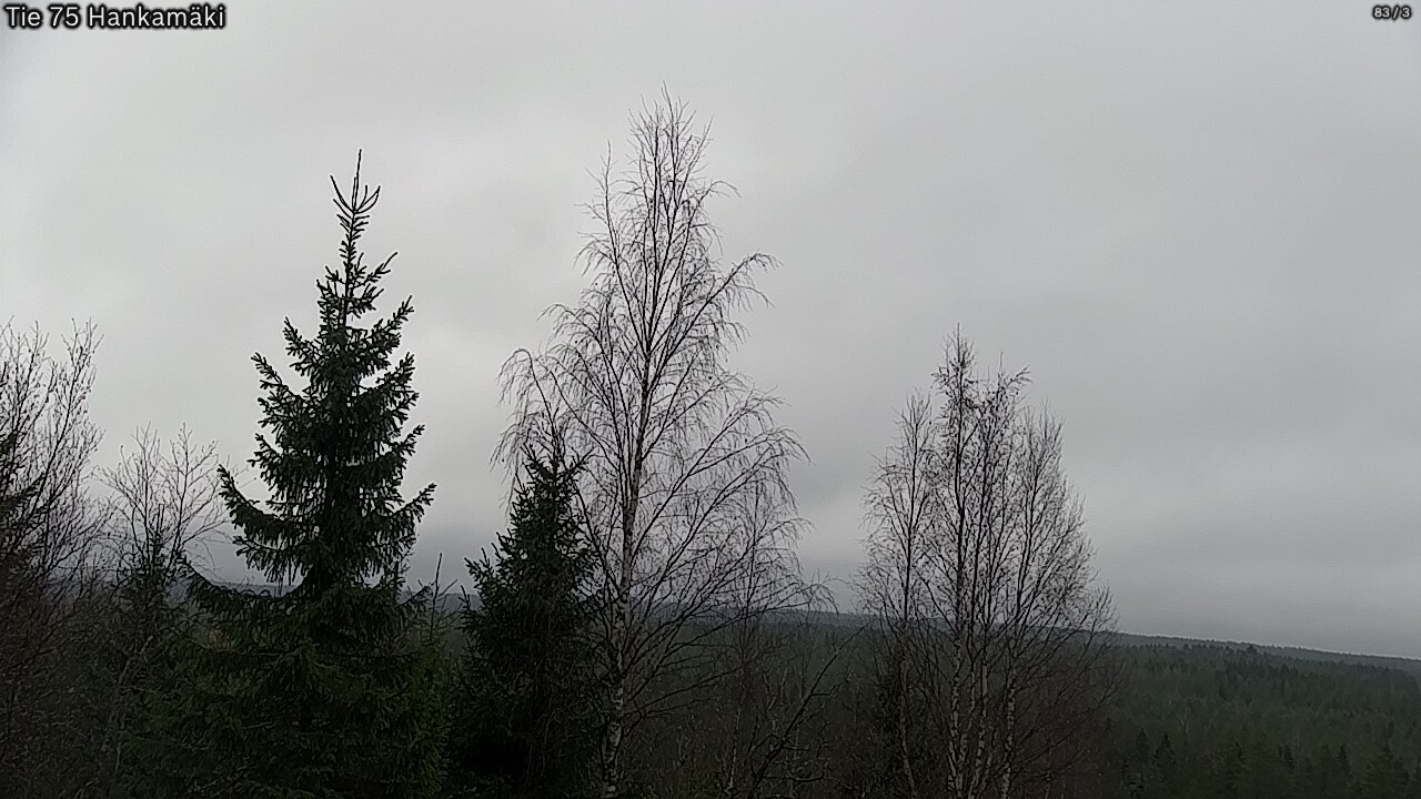 Kelikamerat Kuva Tie 75 Rautavaara, Hankamäki, Rautavaara, Pohjois-Savo