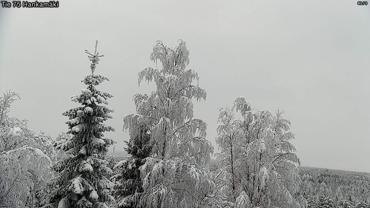 Kelikamerat Kuva Tie 75 Rautavaara, Hankamäki, Rautavaara, Pohjois-Savo