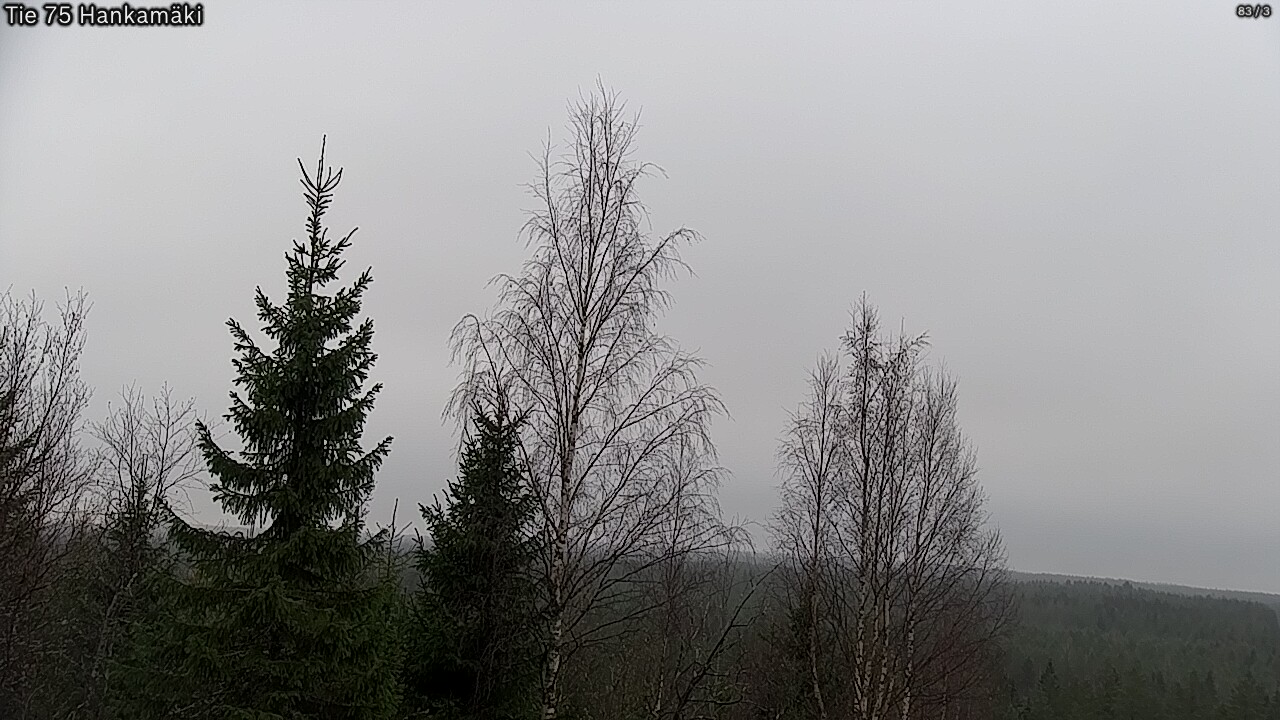 Kelikamerat Kuva Tie 75 Rautavaara, Hankamäki, Rautavaara, Pohjois-Savo