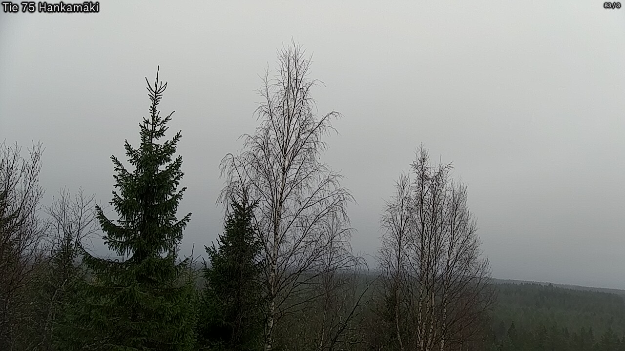 Kelikamerat Kuva Tie 75 Rautavaara, Hankamäki, Rautavaara, Pohjois-Savo