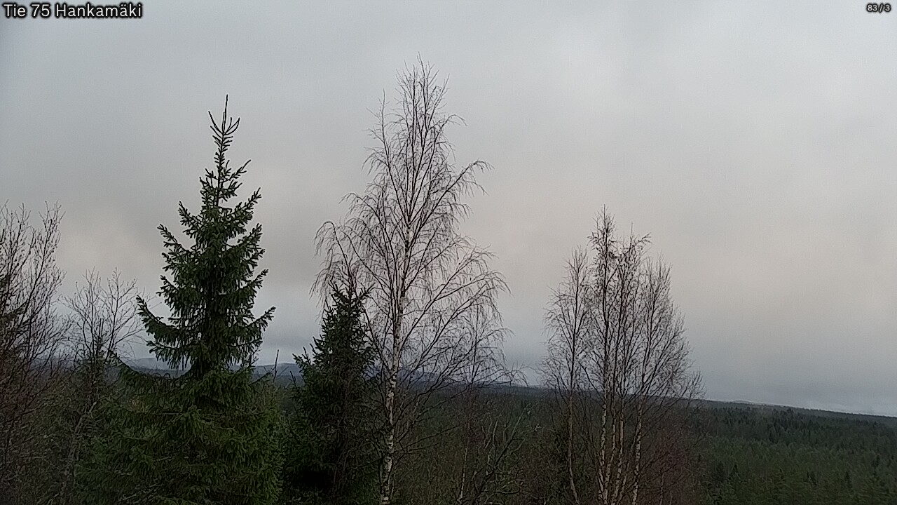 Weather Camera Image Väg 75 Rautavaara, Hankamäki, Rautavaara, Pohjois-Savo
