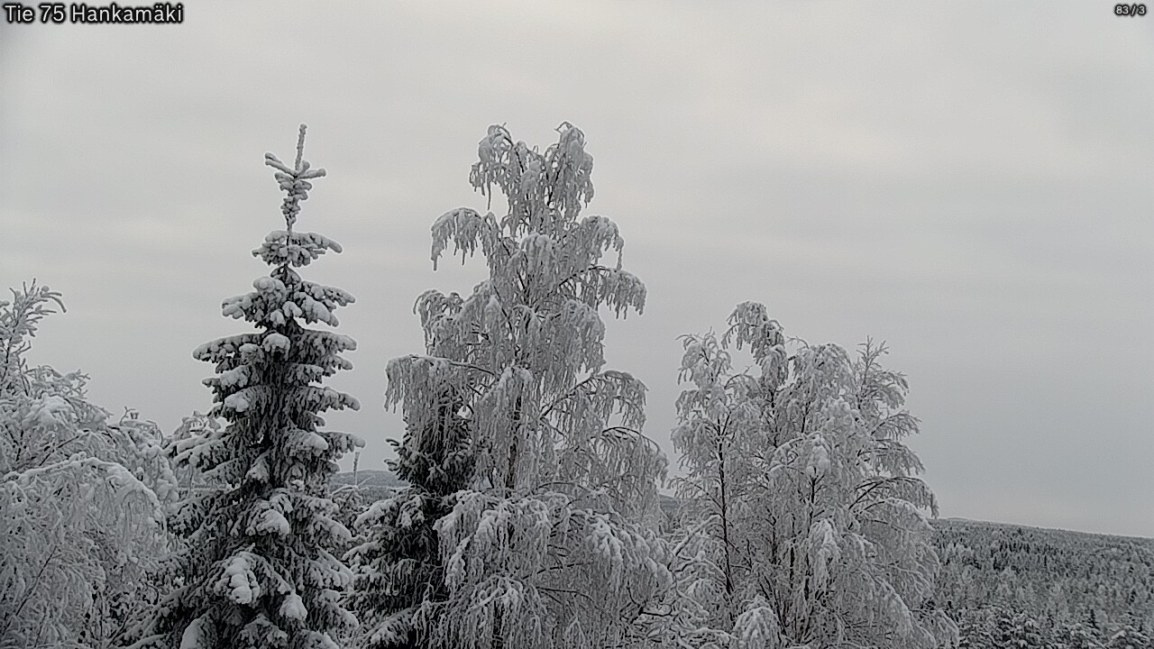 Weather Camera Image Road 75 Rautavaara, Hankamäki, Rautavaara, Pohjois-Savo