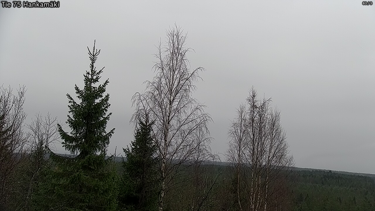 Kelikamerat Kuva Tie 75 Rautavaara, Hankamäki, Rautavaara, Pohjois-Savo