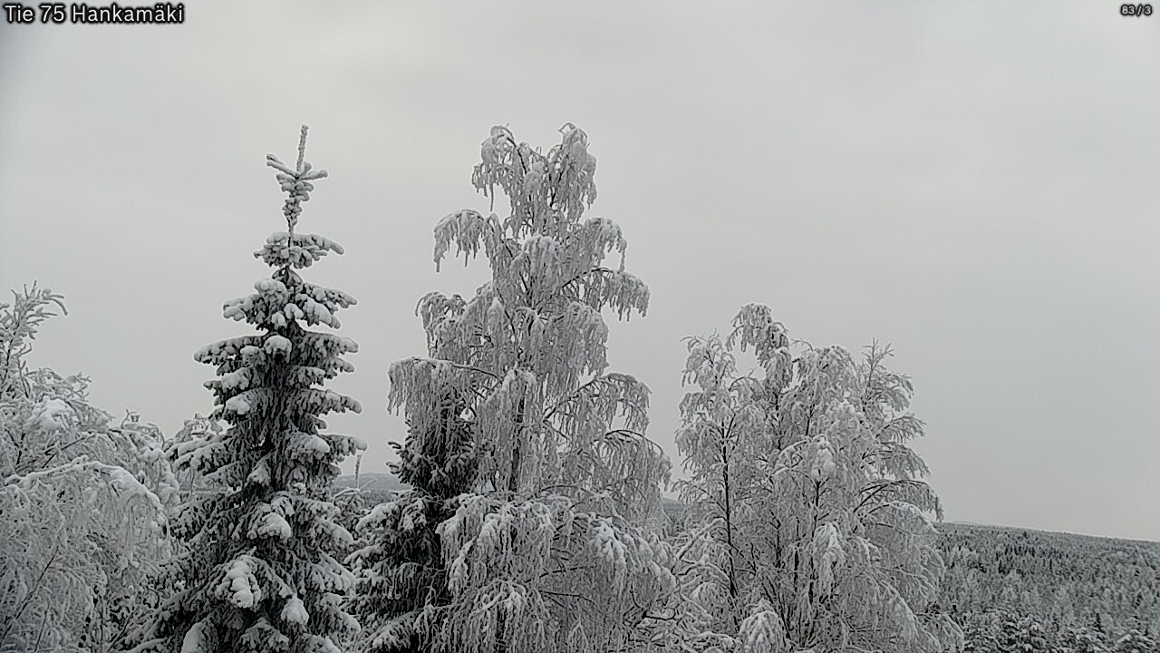 Weather Camera Image Väg 75 Rautavaara, Hankamäki, Rautavaara, Pohjois-Savo