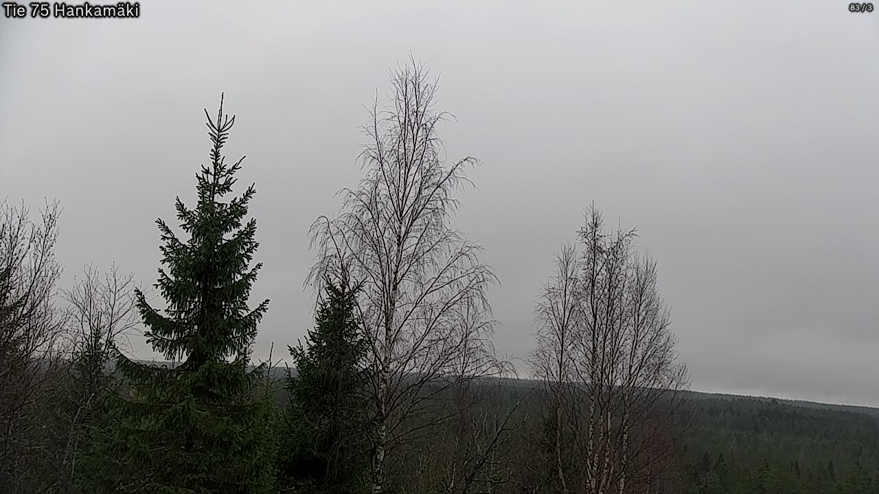 Kelikamerat Kuva Tie 75 Rautavaara, Hankamäki, Rautavaara, Pohjois-Savo