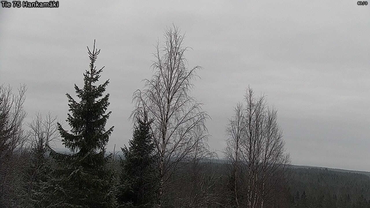Kelikamerat Kuva Tie 75 Rautavaara, Hankamäki, Rautavaara, Pohjois-Savo