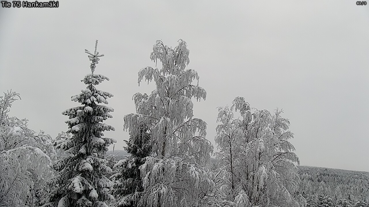Weather Camera Image Road 75 Rautavaara, Hankamäki, Rautavaara, Pohjois-Savo
