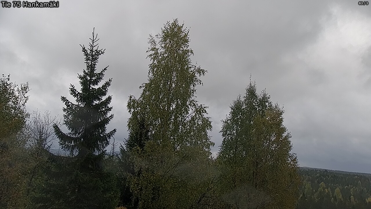 Kelikamerat Kuva Tie 75 Rautavaara, Hankamäki, Rautavaara, Pohjois-Savo