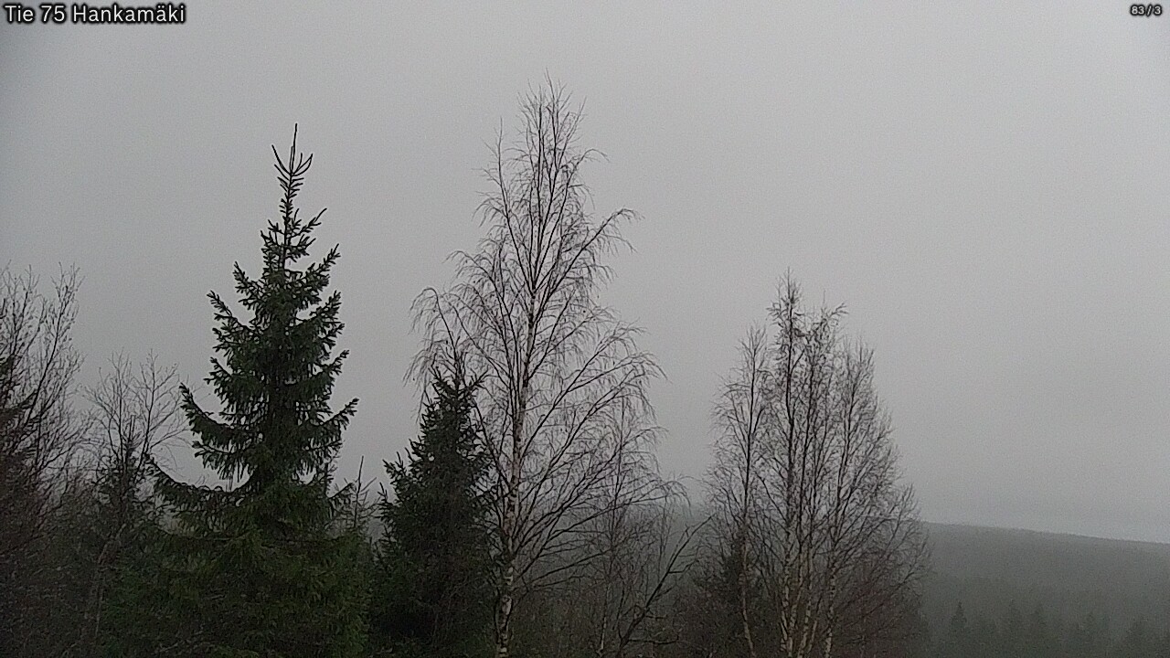 Kelikamerat Kuva Tie 75 Rautavaara, Hankamäki, Rautavaara, Pohjois-Savo