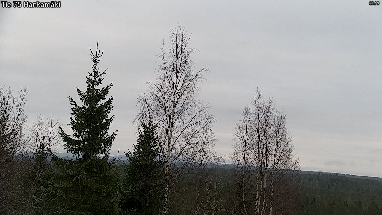 Kelikamerat Kuva Tie 75 Rautavaara, Hankamäki, Rautavaara, Pohjois-Savo
