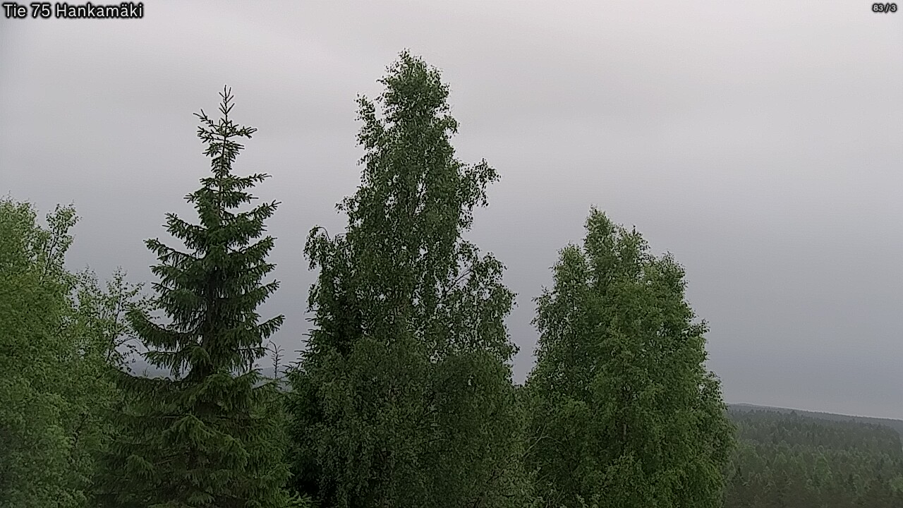 Kelikamerat Kuva Tie 75 Rautavaara, Hankamäki, Rautavaara, Pohjois-Savo