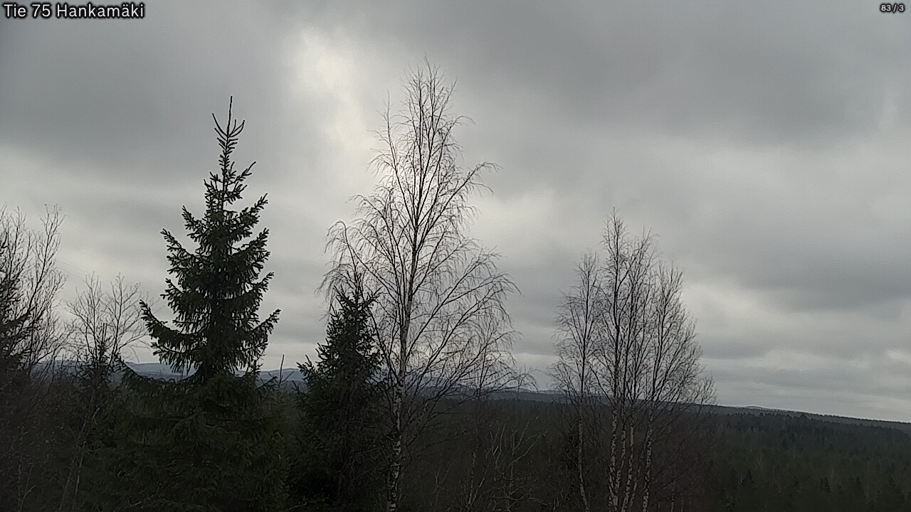 Weather Camera Image Road 75 Rautavaara, Hankamäki, Rautavaara, Pohjois-Savo