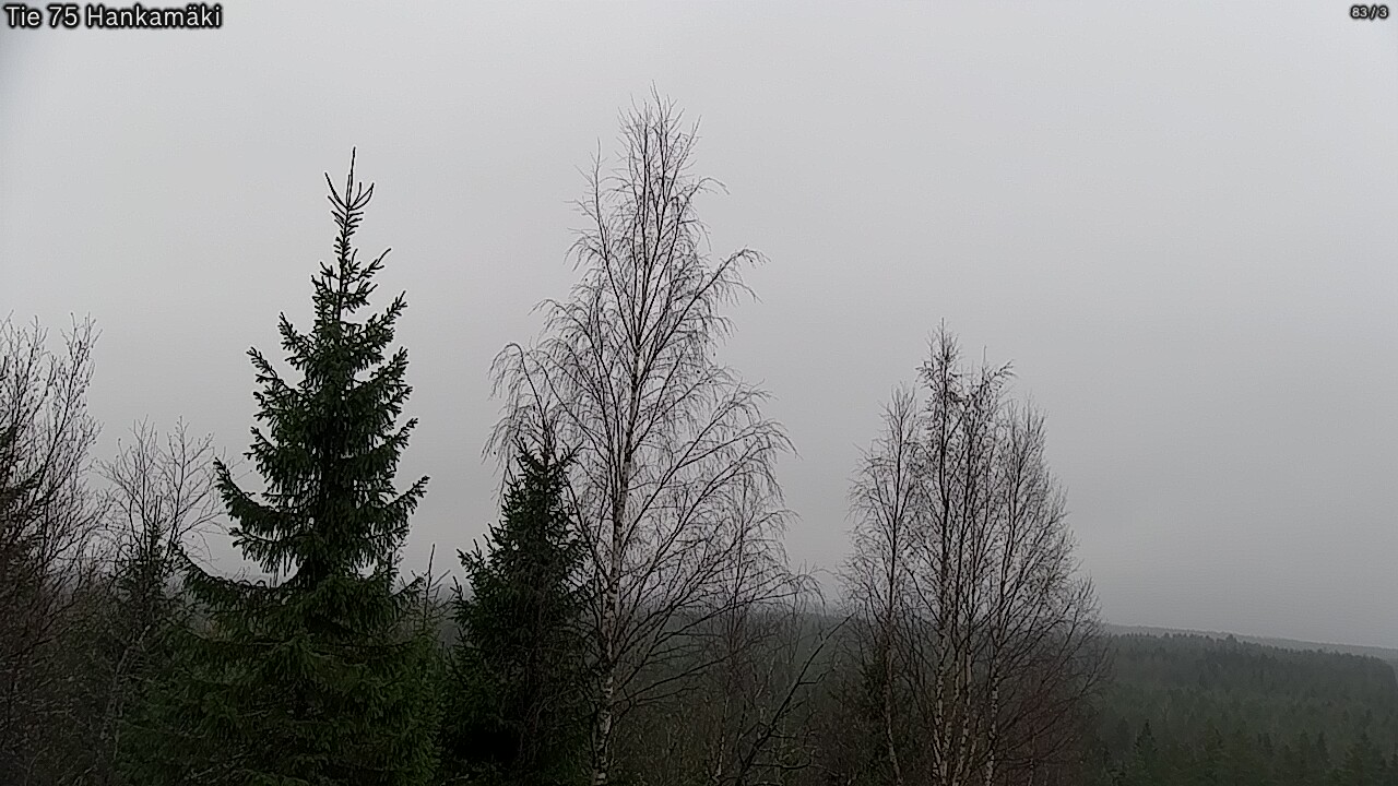 Kelikamerat Kuva Tie 75 Rautavaara, Hankamäki, Rautavaara, Pohjois-Savo