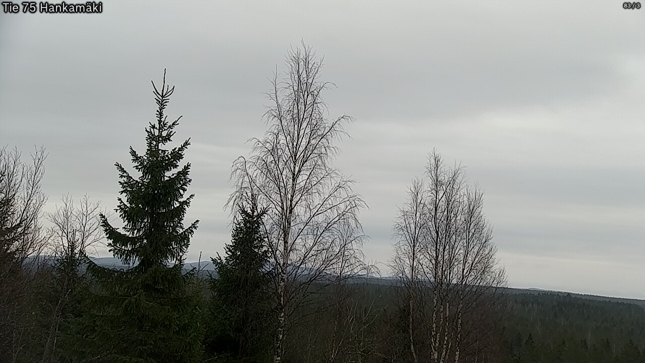 Kelikamerat Kuva Tie 75 Rautavaara, Hankamäki, Rautavaara, Pohjois-Savo