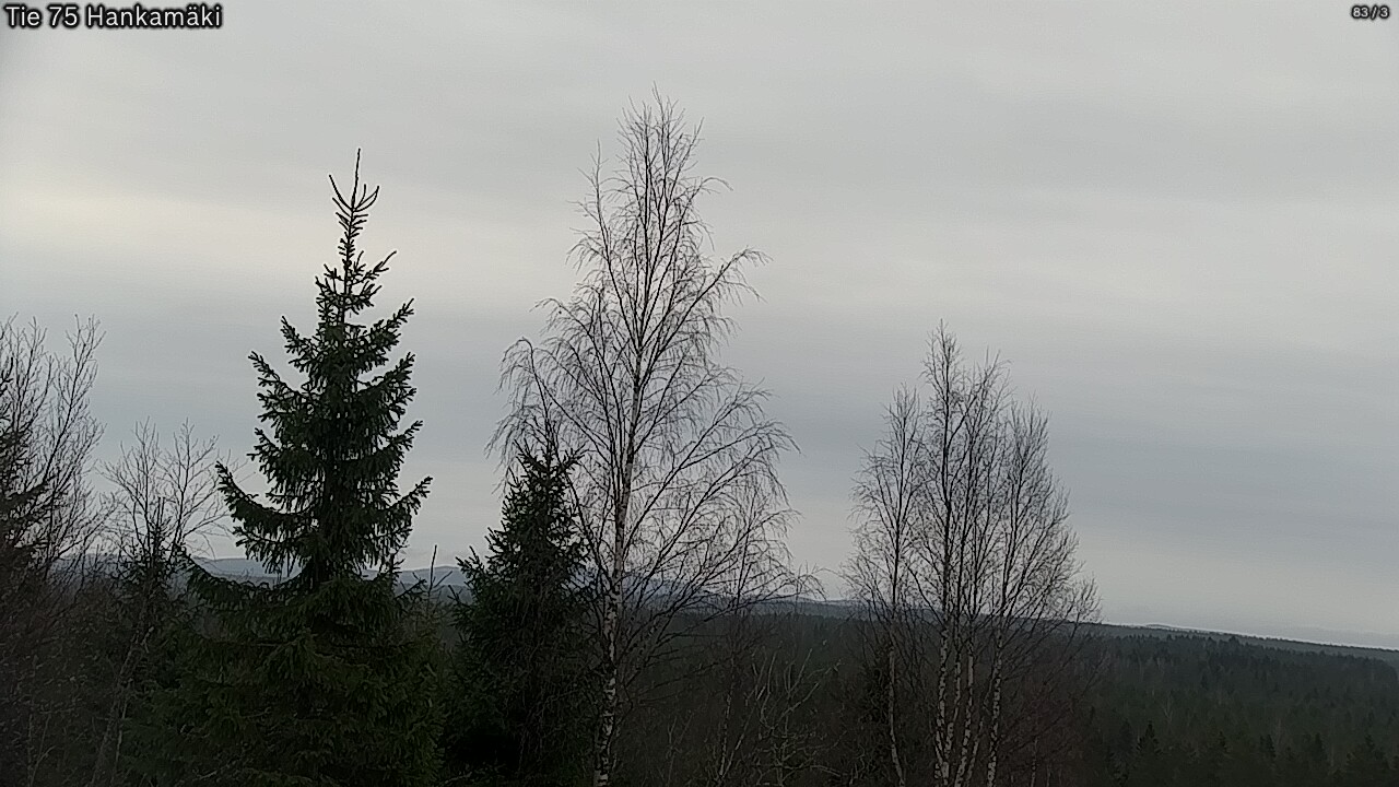 Kelikamerat Kuva Tie 75 Rautavaara, Hankamäki, Rautavaara, Pohjois-Savo