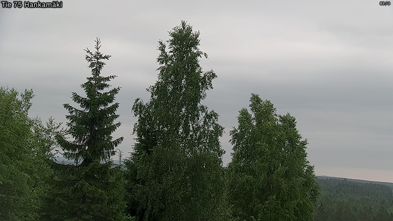 Kelikamerat Kuva Tie 75 Rautavaara, Hankamäki, Rautavaara, Pohjois-Savo