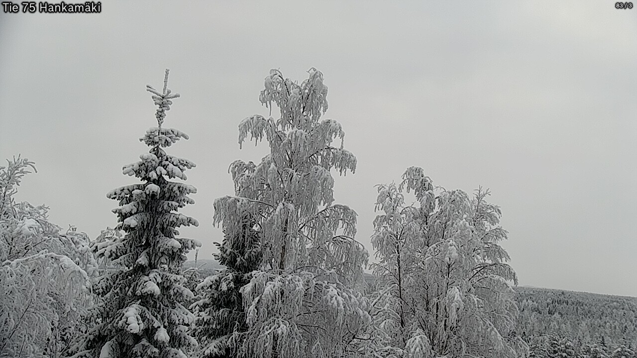 Weather Camera Image Väg 75 Rautavaara, Hankamäki, Rautavaara, Pohjois-Savo