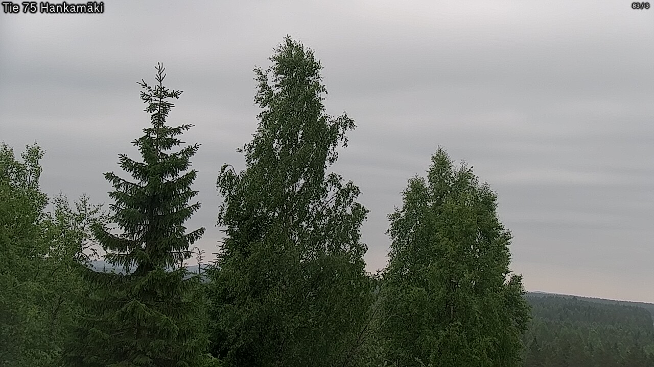 Kelikamerat Kuva Tie 75 Rautavaara, Hankamäki, Rautavaara, Pohjois-Savo