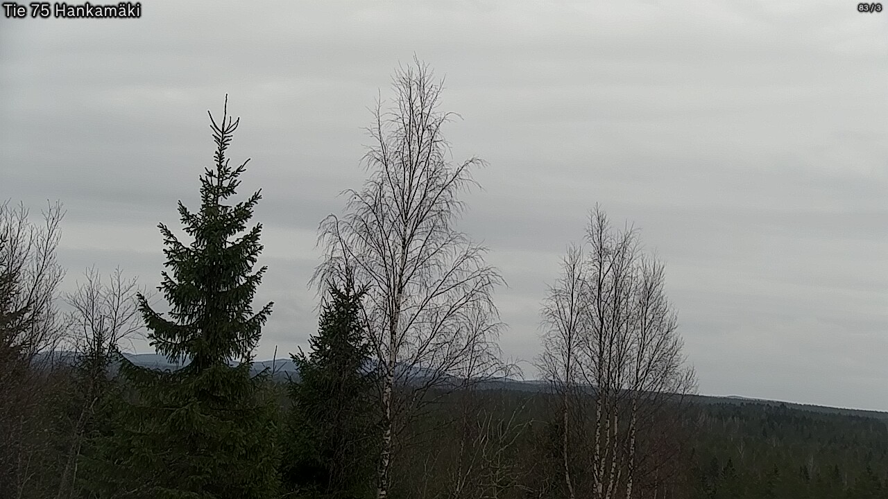 Weather Camera Image Väg 75 Rautavaara, Hankamäki, Rautavaara, Pohjois-Savo