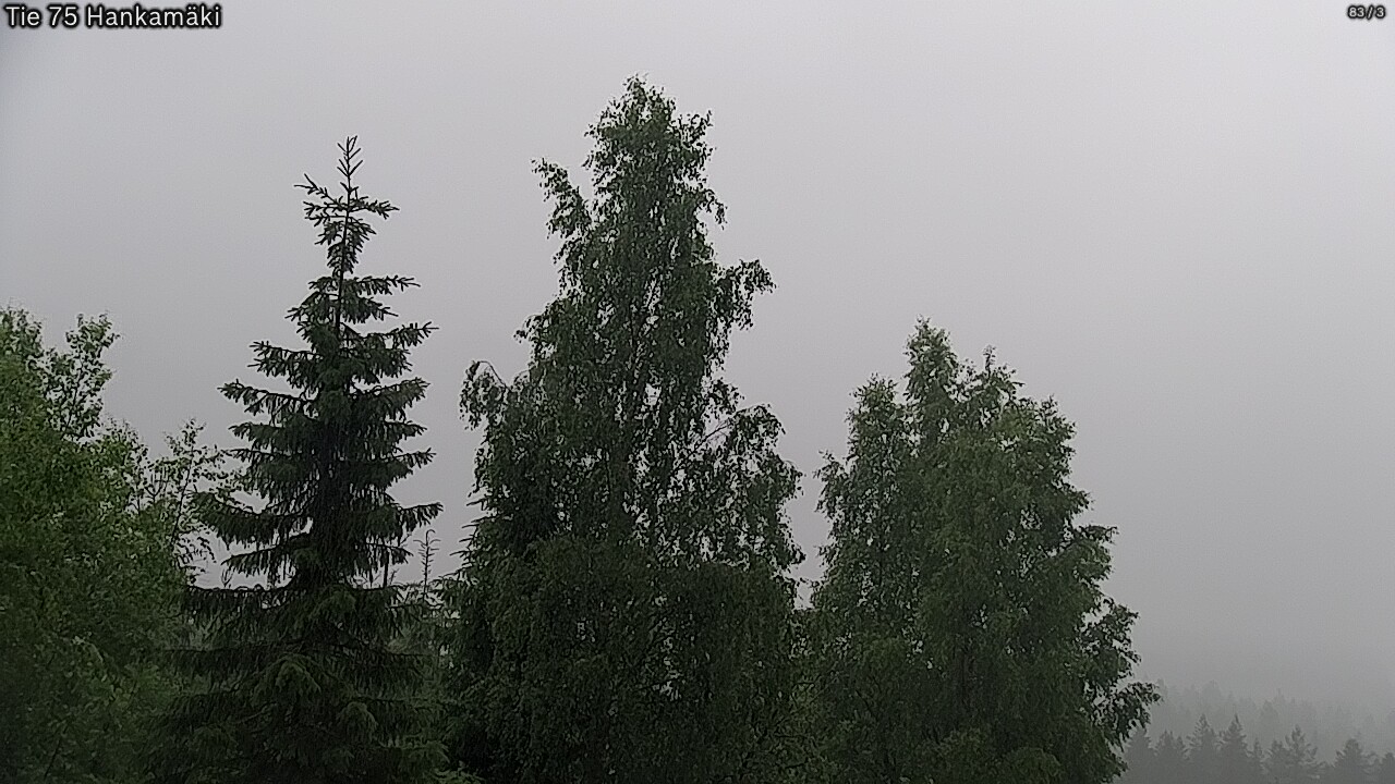 Weather Camera Image Road 75 Rautavaara, Hankamäki, Rautavaara, Pohjois-Savo