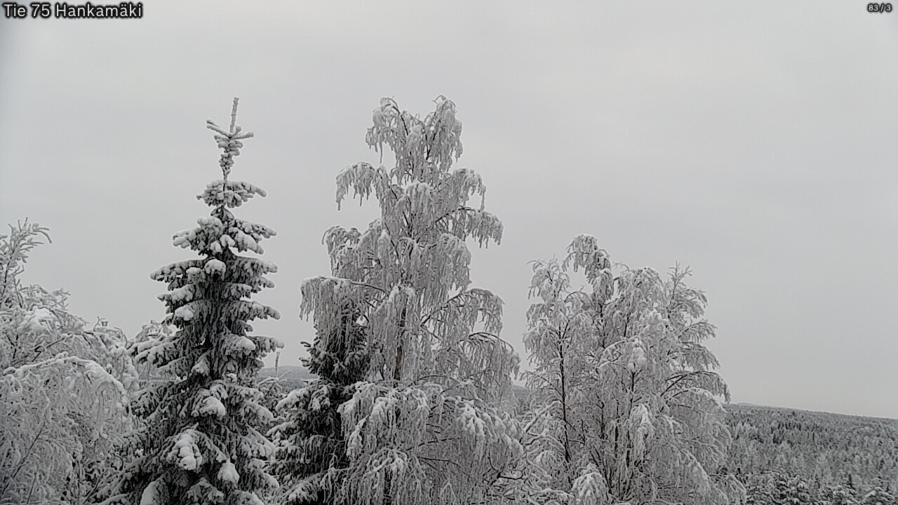 Weather Camera Image Road 75 Rautavaara, Hankamäki, Rautavaara, Pohjois-Savo