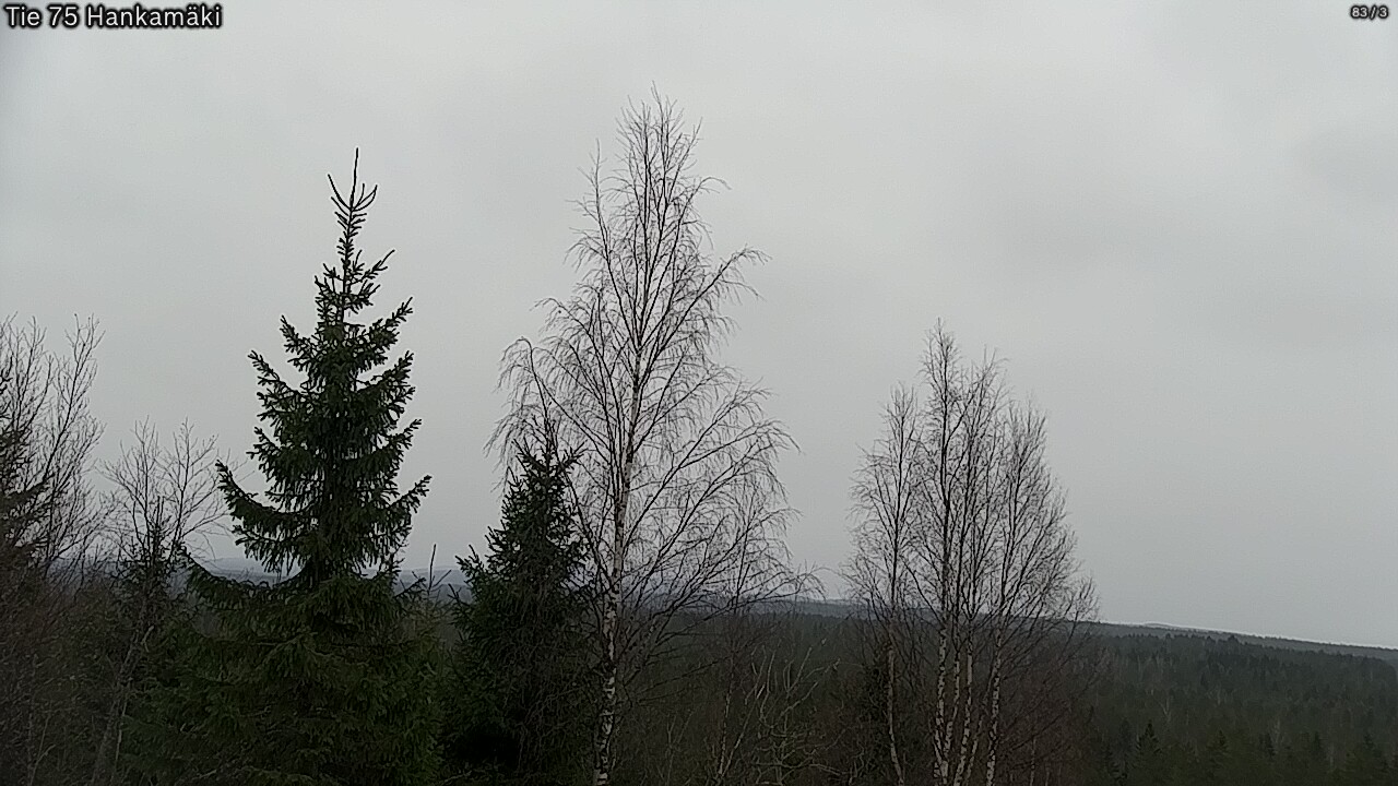 Weather Camera Image Väg 75 Rautavaara, Hankamäki, Rautavaara, Pohjois-Savo