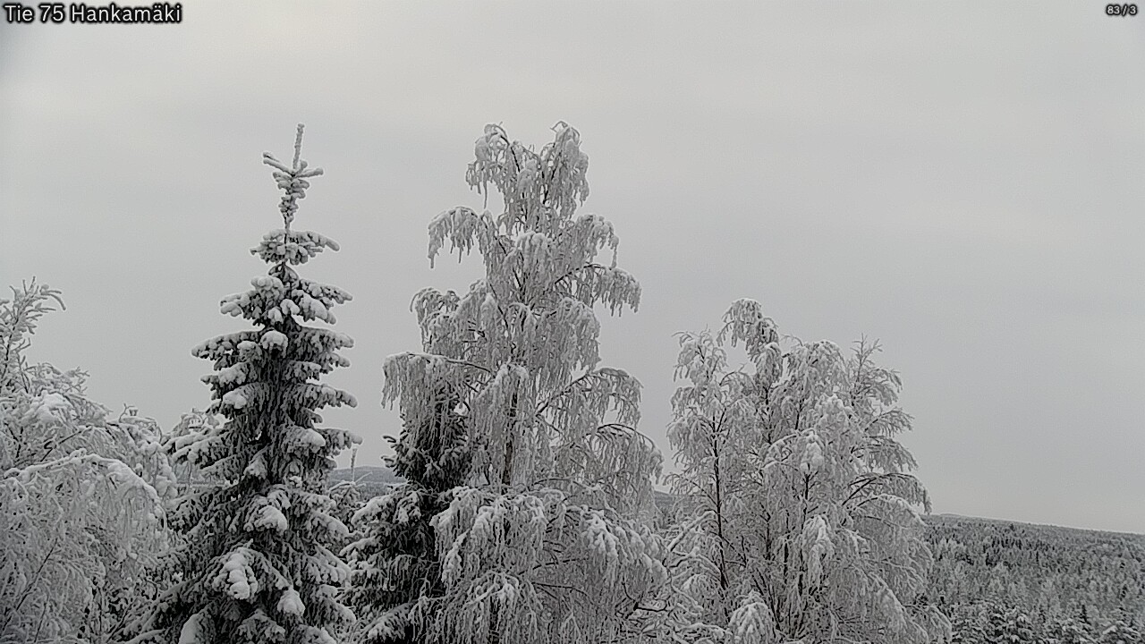 Weather Camera Image Road 75 Rautavaara, Hankamäki, Rautavaara, Pohjois-Savo
