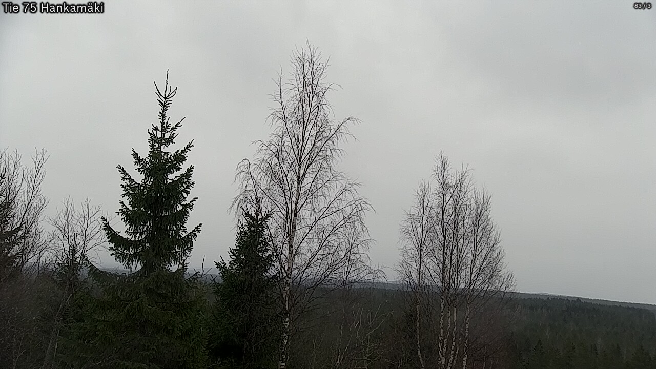 Weather Camera Image Väg 75 Rautavaara, Hankamäki, Rautavaara, Pohjois-Savo
