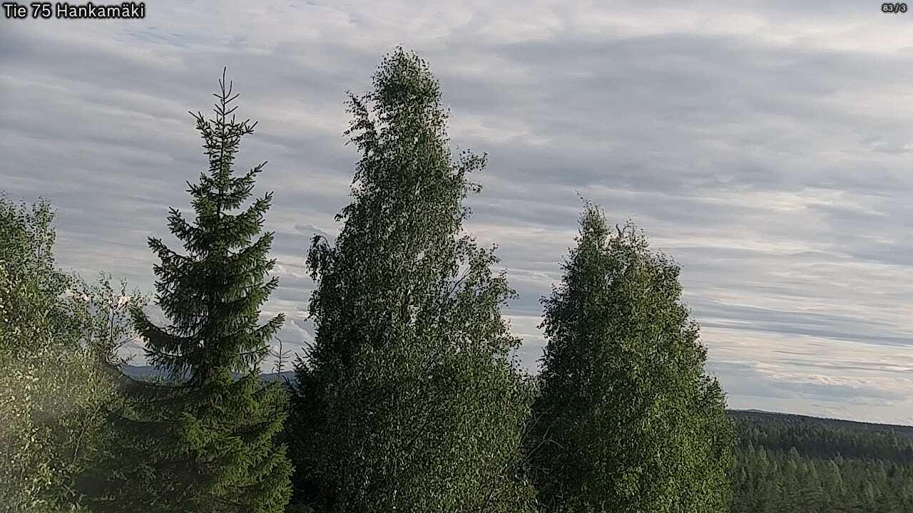Kelikamerat Kuva Tie 75 Rautavaara, Hankamäki, Rautavaara, Pohjois-Savo