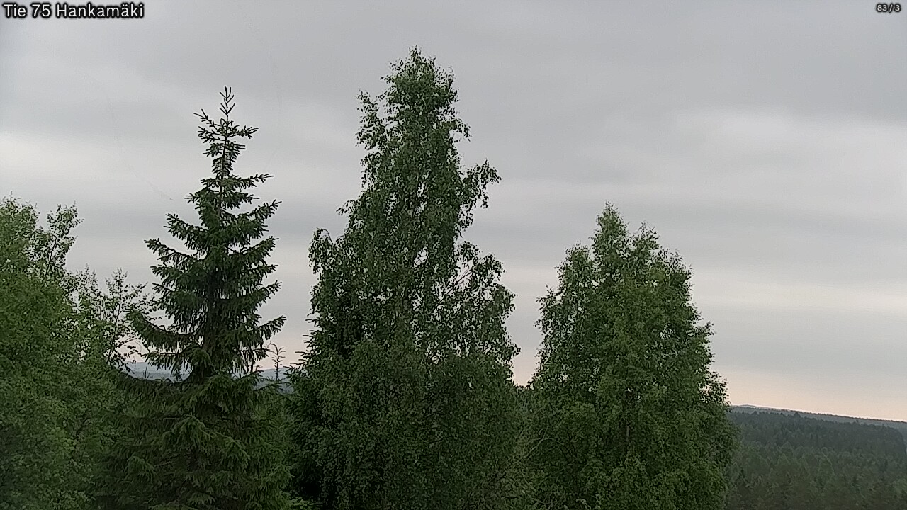 Kelikamerat Kuva Tie 75 Rautavaara, Hankamäki, Rautavaara, Pohjois-Savo