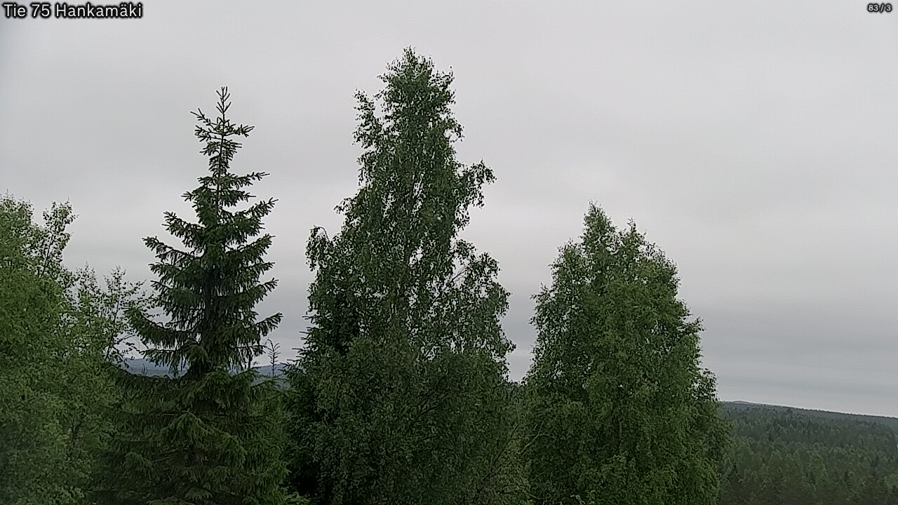 Kelikamerat Kuva Tie 75 Rautavaara, Hankamäki, Rautavaara, Pohjois-Savo
