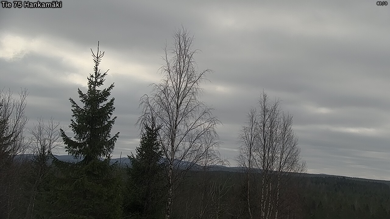 Kelikamerat Kuva Tie 75 Rautavaara, Hankamäki, Rautavaara, Pohjois-Savo