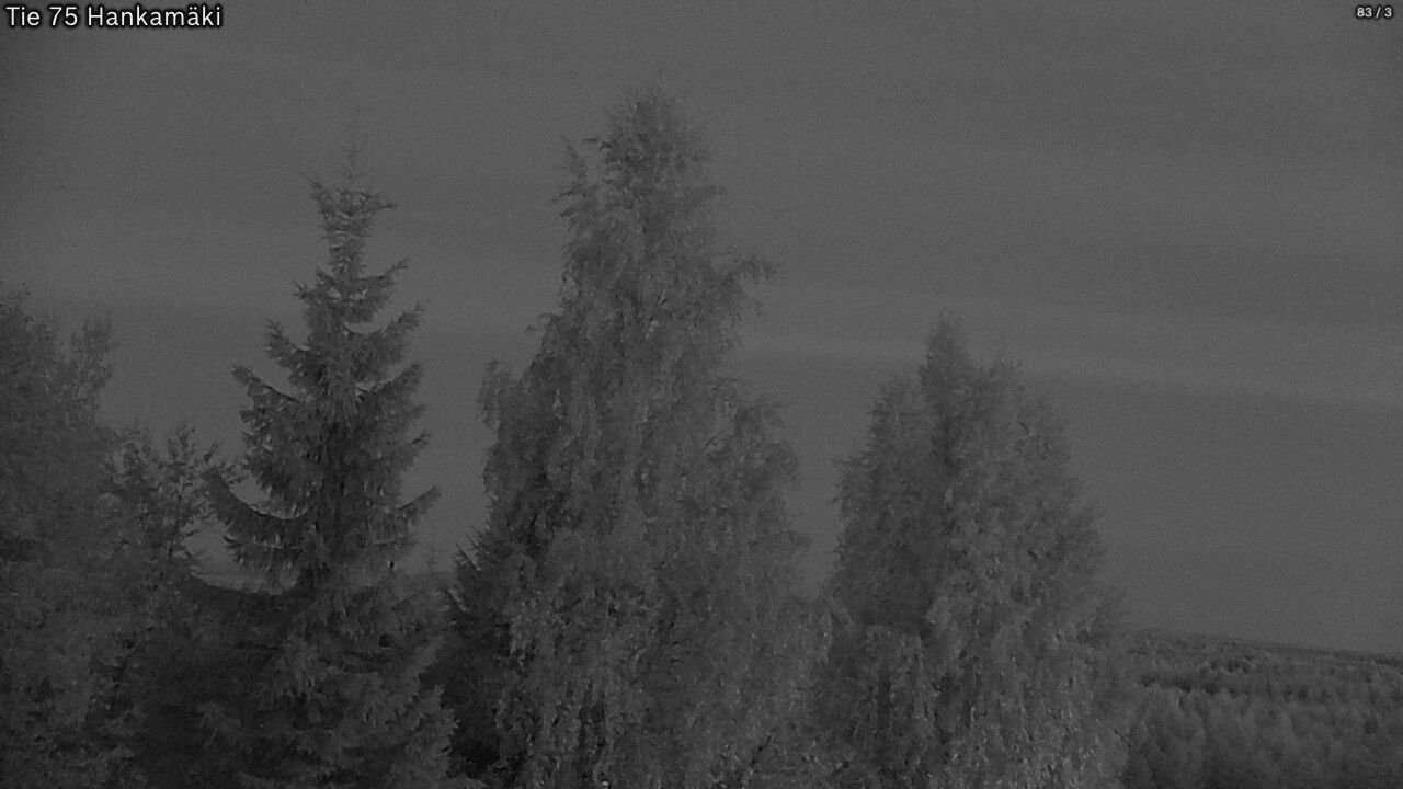 Kelikamerat Kuva Tie 75 Rautavaara, Hankamäki, Rautavaara, Pohjois-Savo