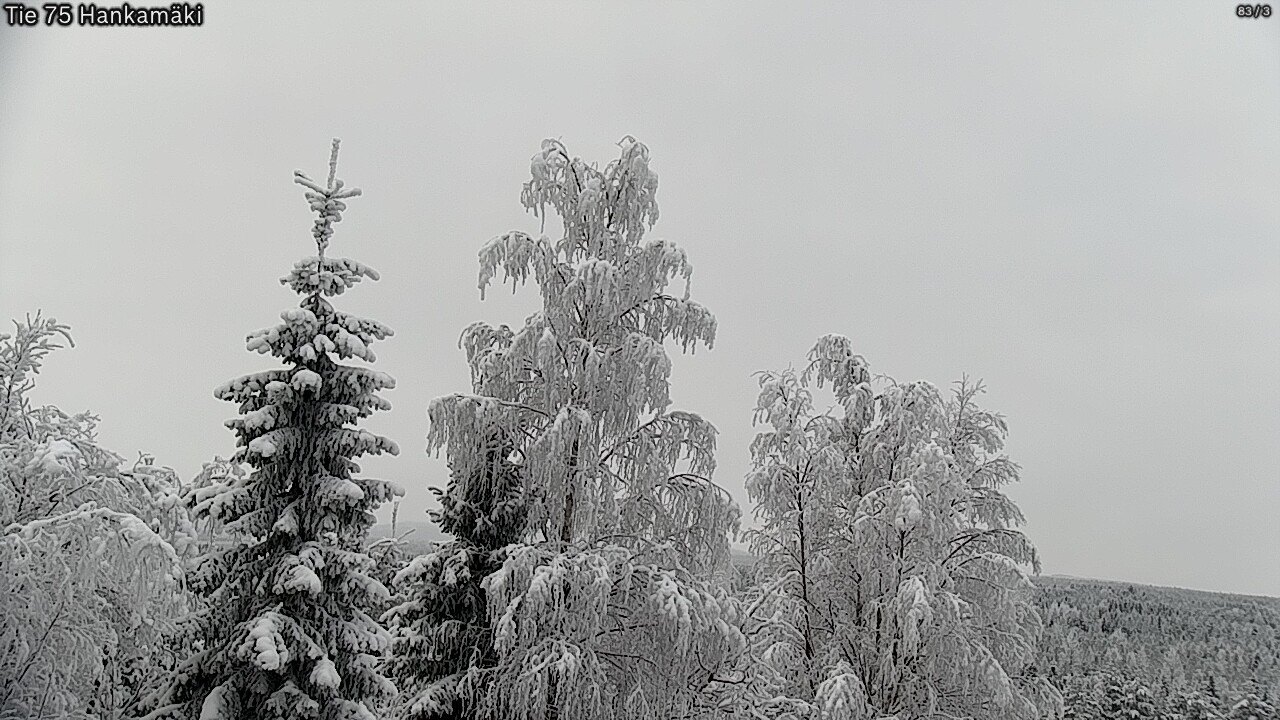 Weather Camera Image Väg 75 Rautavaara, Hankamäki, Rautavaara, Pohjois-Savo