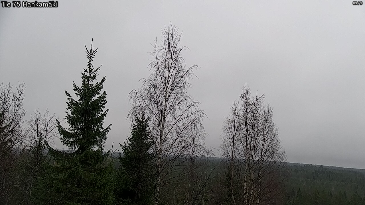 Kelikamerat Kuva Tie 75 Rautavaara, Hankamäki, Rautavaara, Pohjois-Savo