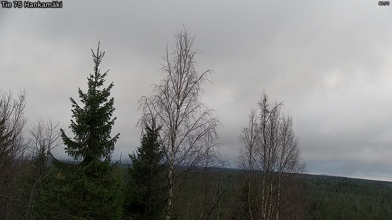 Kelikamerat Kuva Tie 75 Rautavaara, Hankamäki, Rautavaara, Pohjois-Savo
