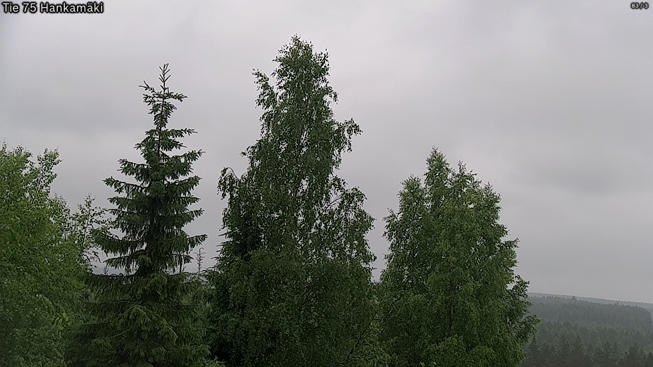 Weather Camera Image Road 75 Rautavaara, Hankamäki, Rautavaara, Pohjois-Savo