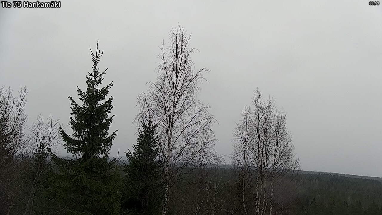 Weather Camera Image Väg 75 Rautavaara, Hankamäki, Rautavaara, Pohjois-Savo