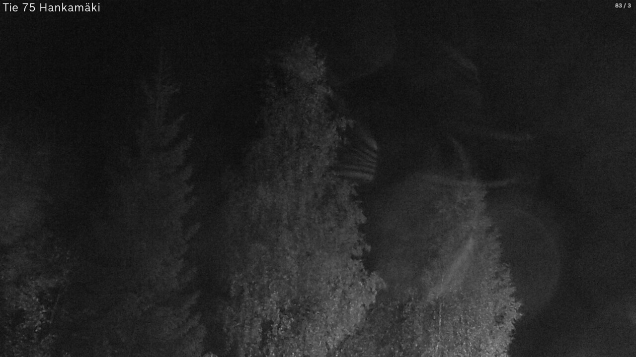 Kelikamerat Kuva Tie 75 Rautavaara, Hankamäki, Rautavaara, Pohjois-Savo