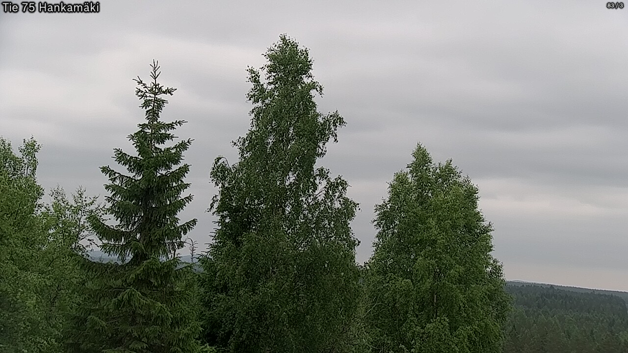 Kelikamerat Kuva Tie 75 Rautavaara, Hankamäki, Rautavaara, Pohjois-Savo