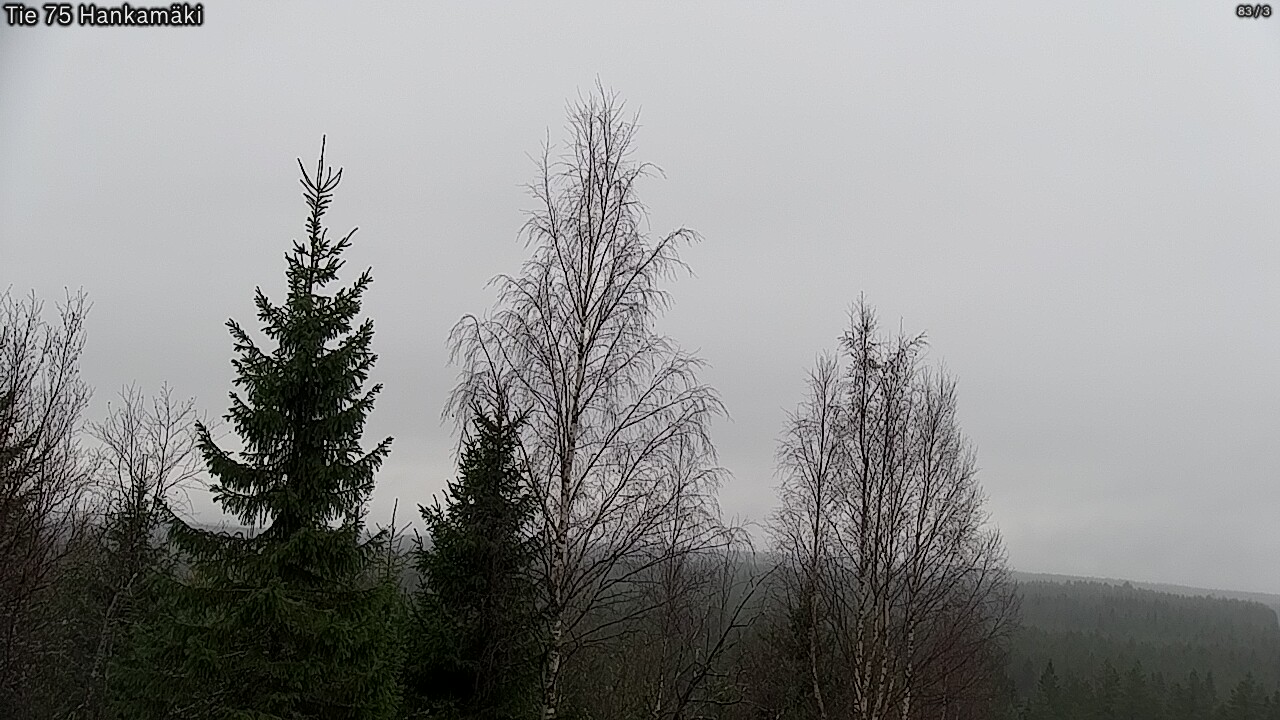 Kelikamerat Kuva Tie 75 Rautavaara, Hankamäki, Rautavaara, Pohjois-Savo