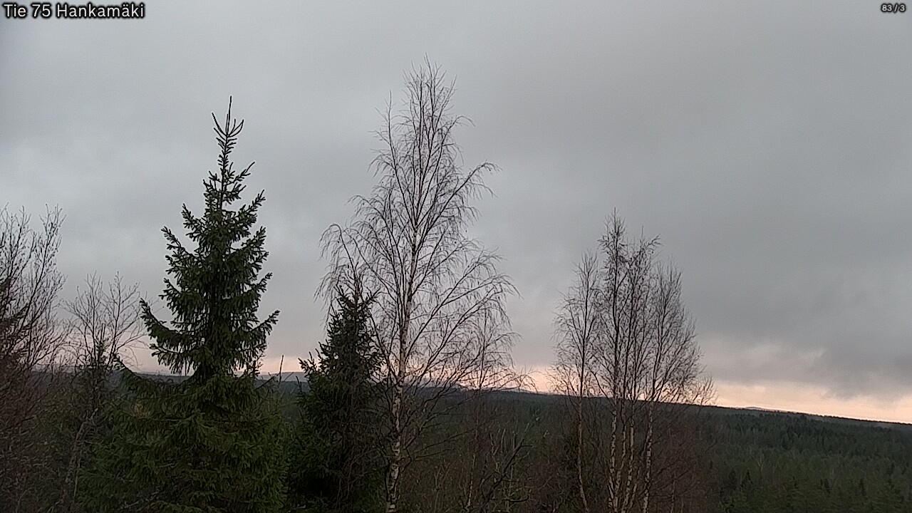 Kelikamerat Kuva Tie 75 Rautavaara, Hankamäki, Rautavaara, Pohjois-Savo