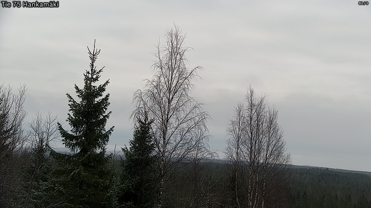 Kelikamerat Kuva Tie 75 Rautavaara, Hankamäki, Rautavaara, Pohjois-Savo
