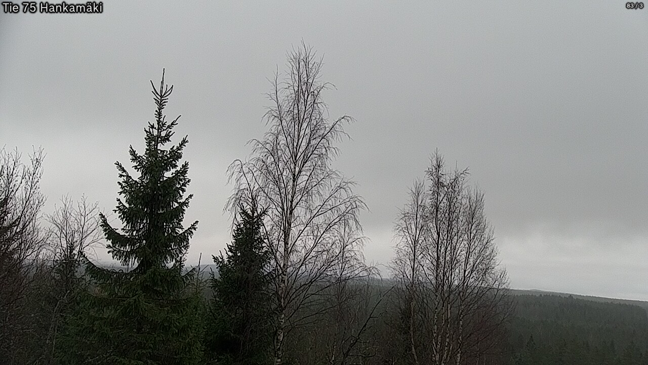 Kelikamerat Kuva Tie 75 Rautavaara, Hankamäki, Rautavaara, Pohjois-Savo