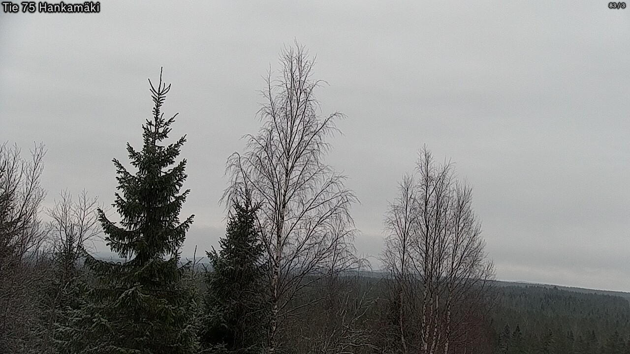 Kelikamerat Kuva Tie 75 Rautavaara, Hankamäki, Rautavaara, Pohjois-Savo