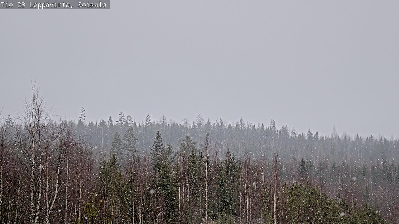Weather Camera Image Road 23 Leppävirta, Soisalo, Leppävirta, Pohjois-Savo