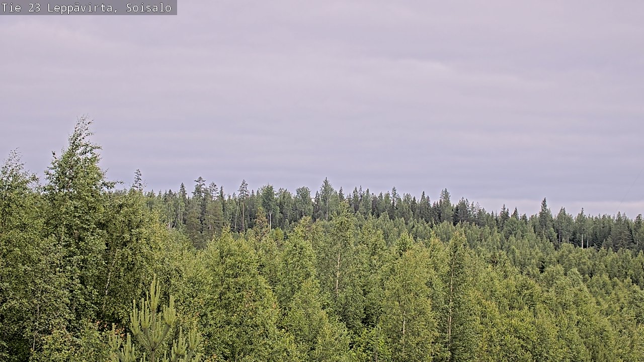Weather Camera Image Väg 23 Leppävirta, Soisalo, Leppävirta, Pohjois-Savo