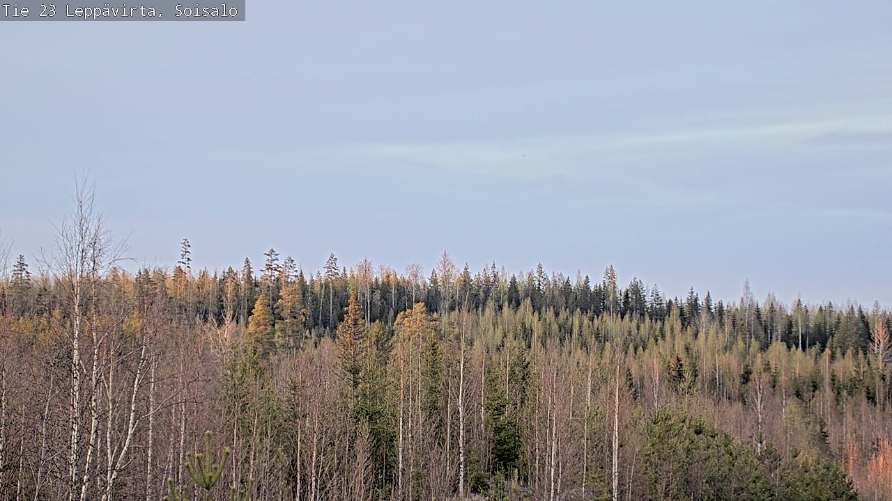 Weather Camera Image Väg 23 Leppävirta, Soisalo, Leppävirta, Pohjois-Savo